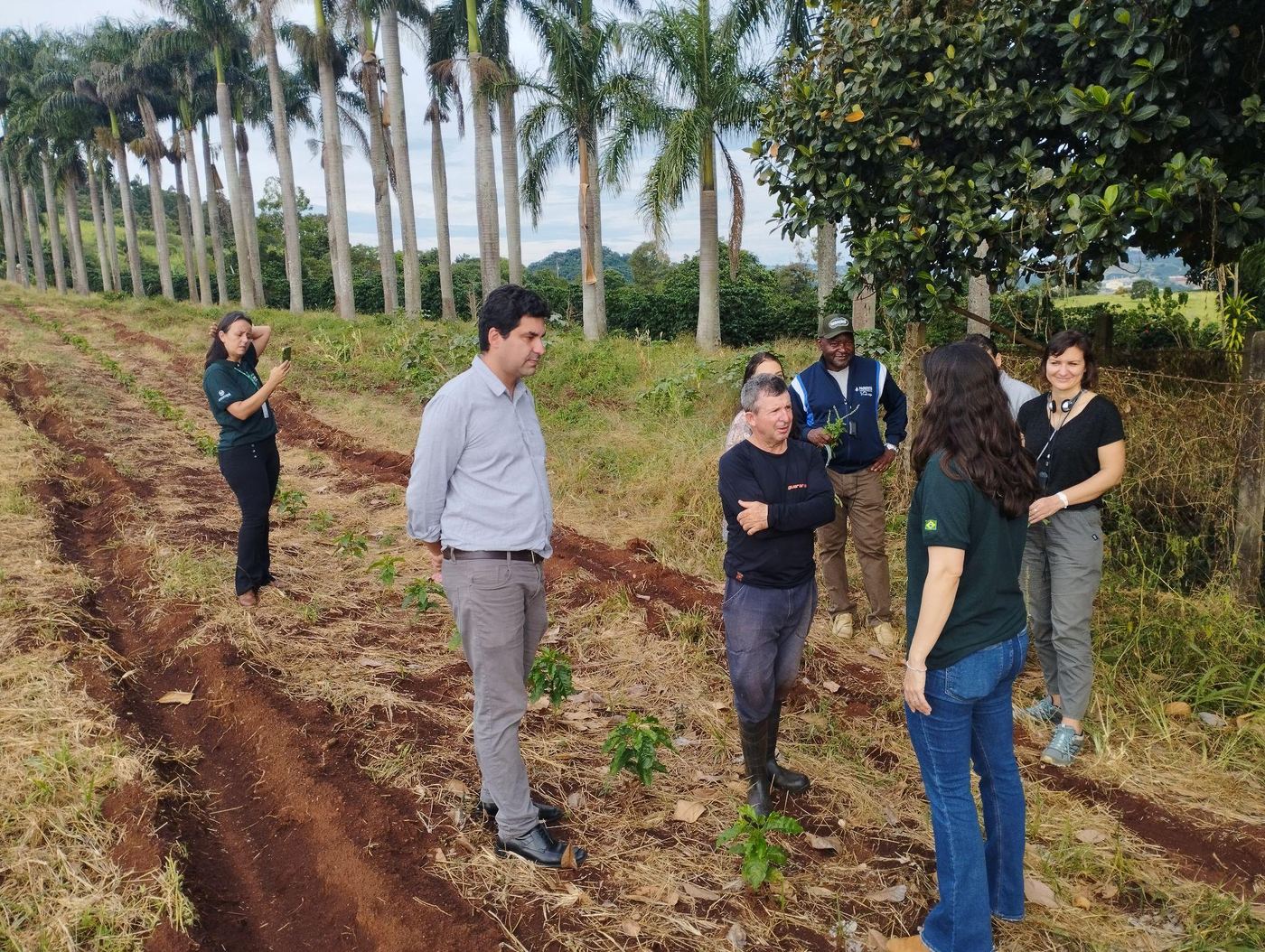 Visita de delegação internacional a cooperativa de café em Minas Gerais